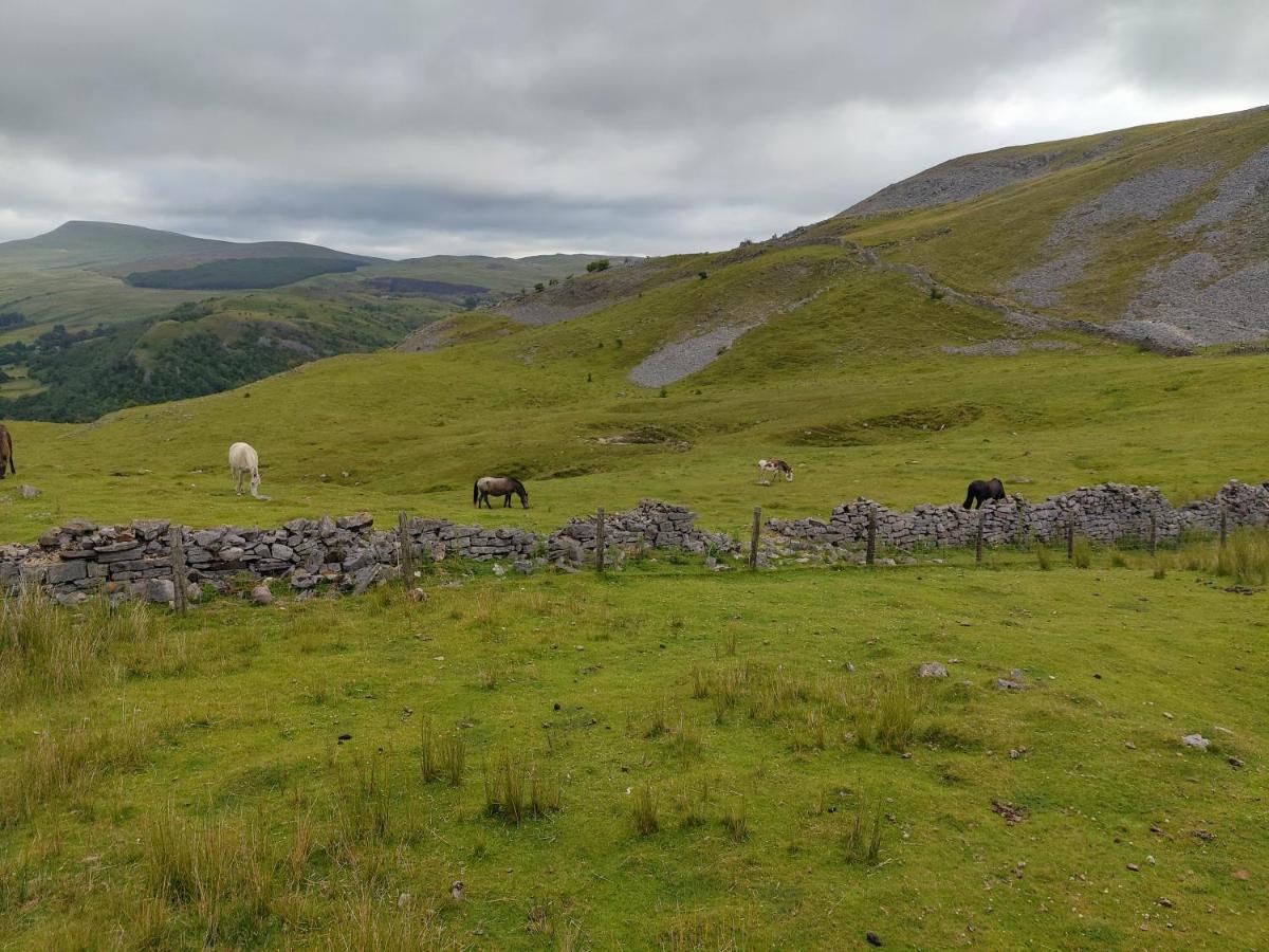 Pentre Cottage Near Craig Y Nos Pen-y-cae  ภายนอก รูปภาพ